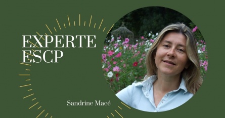 © Monde des Grandes Ecoles [copyright]