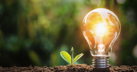 Customise your MiM track with specialisations: Impact Entrepreneurship, Option-E