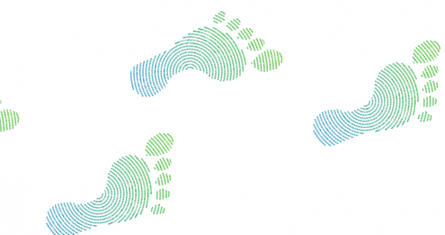 ESCP Green Hackathon | Digital Carbon Footprint