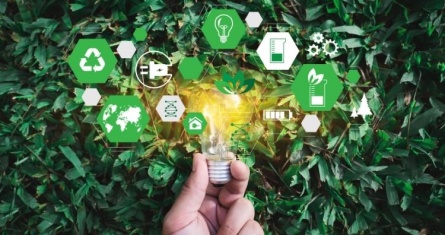 Reduce your digital carbon footprint to shape a greener future