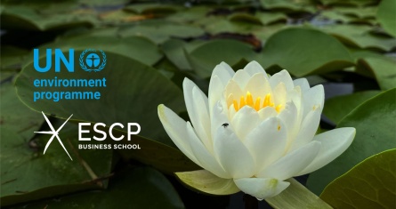 Logo UN environment and ESCP Business School logo on lotus flower background