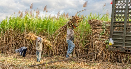 © Hien Phung - AdobeStock [copyright]