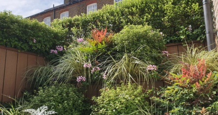 ESCP Business School Supports London’s Biodiversity through the Camden Climate Alliance and the Local Initiatives.