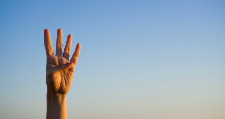 © Akin Ozcan - AdobeStock [copyright]