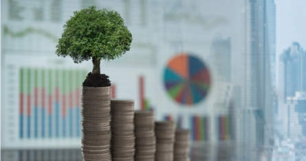 cover picture of the event