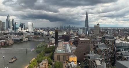 When Politics Becomes a Business Skill