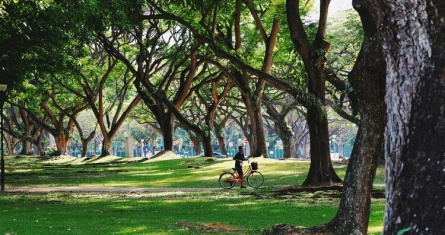 Sustainability Across Europe: What Students Can Learn from Six Cities