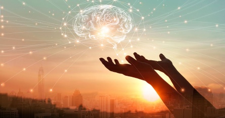 Banner Webinar Replay, Excutive Education, ESCP Business School