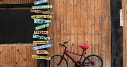 Beyond English: why language diversity is a hidden business superpower