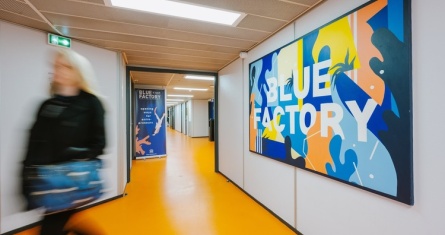 The Blue Factory
