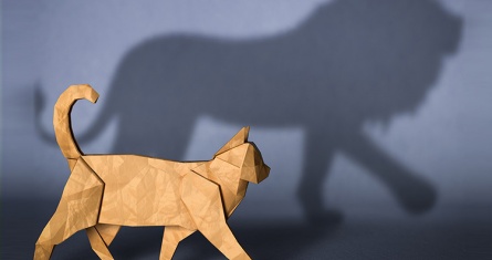 Webinar - How to take your career to the next level with an EMBA? | ESCP Business School