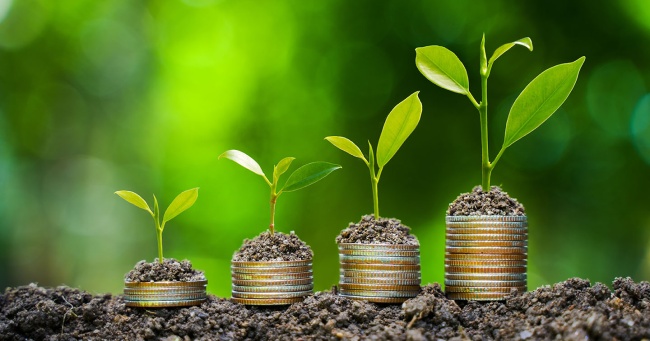 The light bulb sits on the ground Plants grow on stacked coins. Renewable energy production is essential for the future. Green businesses using renewable energy can limit climate