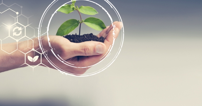 chair for corporate sustainability florian lüdeke-freund - ESCP Berlin -  © BillionPhotos.com / Adobe Stock.