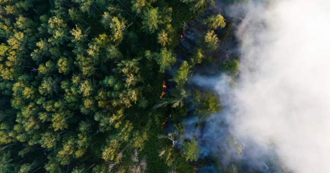 ESCP Sustainability Institute