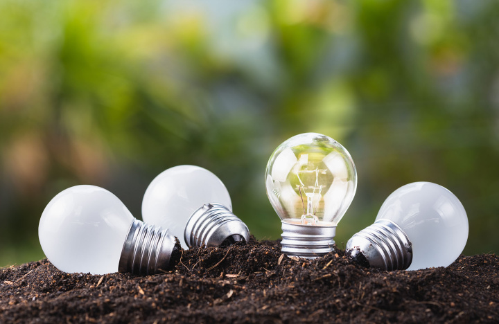 Sustainability at Universities: Walking the Talk and Leading by Example