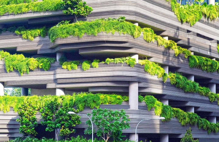 Comfort, well‑being, quality of life, what if biodiversity was the answer!