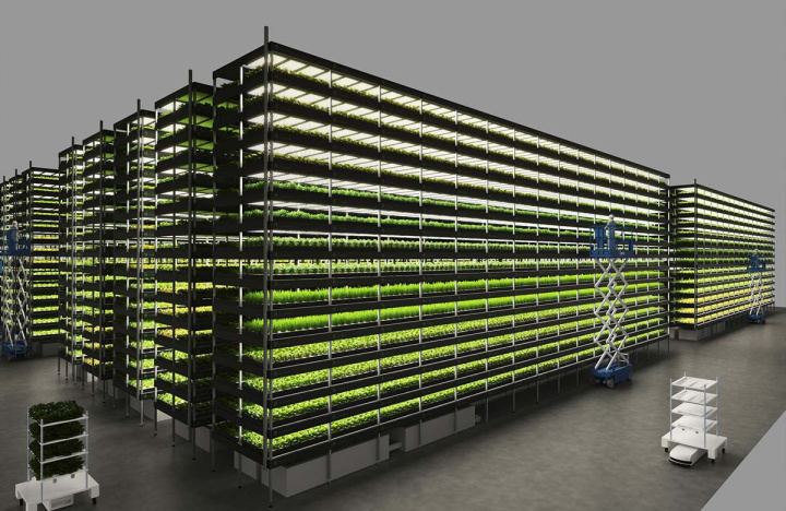 We met the founder of Europe’s largest vertical farm