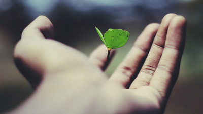 Business for degrowth: a flip in perspective for truly sustainable development?
