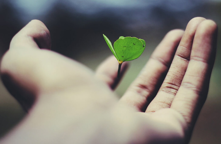 Business for degrowth: a flip in perspective for truly sustainable development?