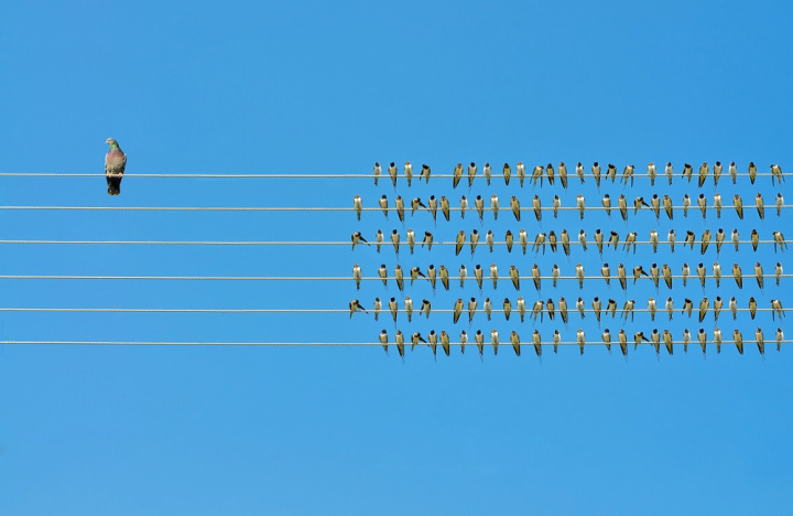 “Be yourself – everyone else is already taken”: Finding your personal brand online (and offline)