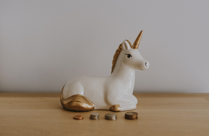 Is it a unicorn or a donkey with a party hat?