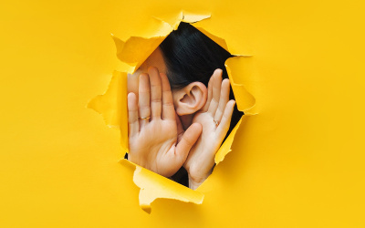 From ideation to success: the power of feedback for entrepreneurs