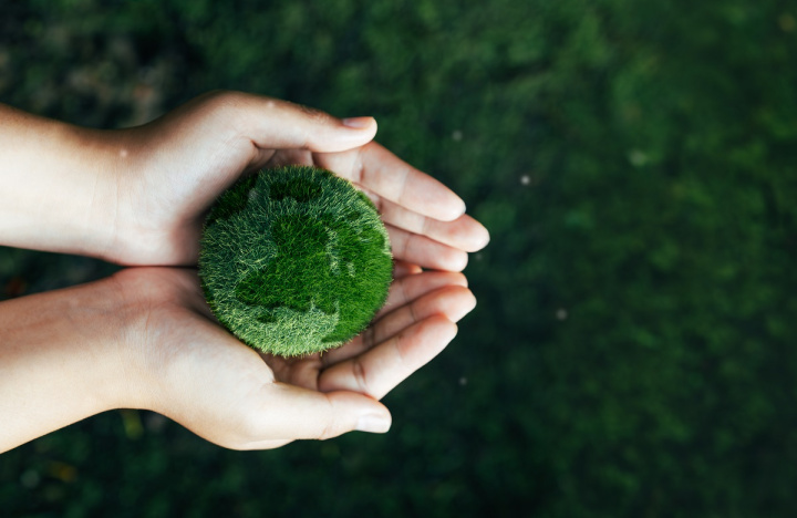 Beyond the CSR office: the employees quietly reshaping corporate climate action