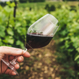 grape-things-wine-elle-hughes-pexel