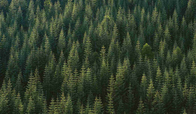 jason-leem-50bzi1f6ura-unsplash_11zon
