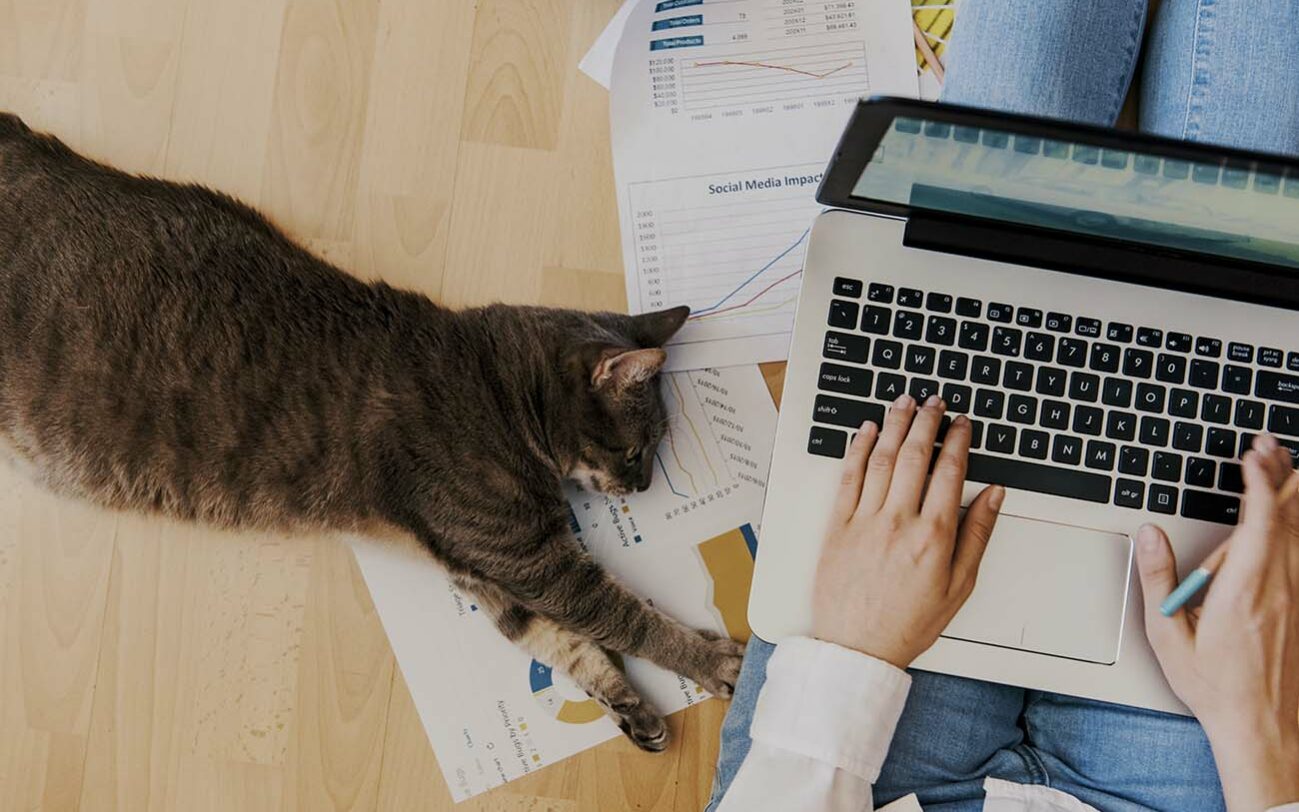 ©AgCreativeLab / AdobeStock creative home work space - work from home concept - girl with cat