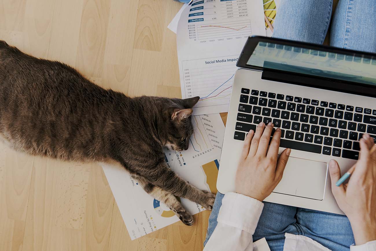 creative home work space - work from home concept - girl with cat