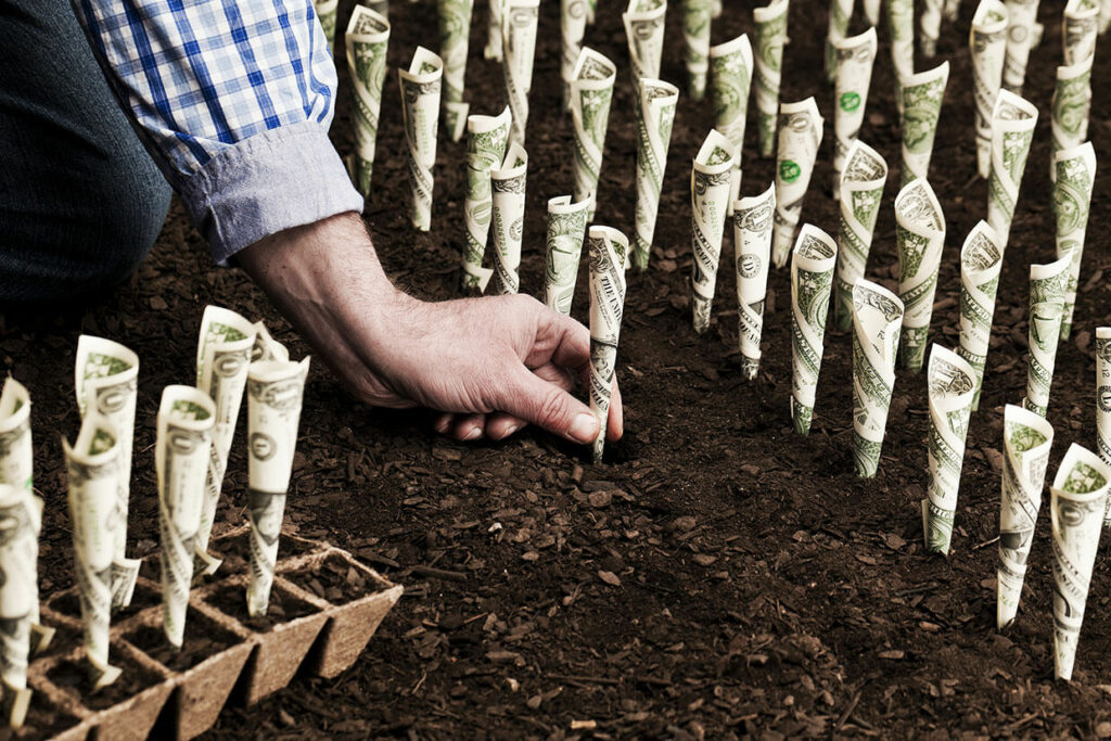 Green Investment Photo, © aluxum / iStock