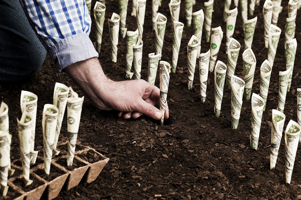 Green Investment Photo, © aluxum / iStock
