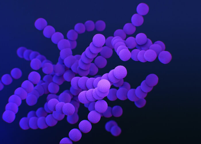 Medical illustration of a bacteria