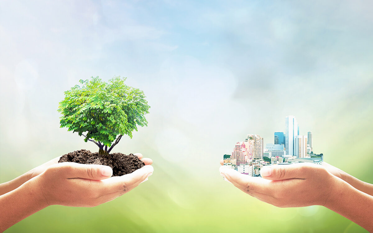Choat-AdobeStock Two human hands holding tree and city over blurred nature background
