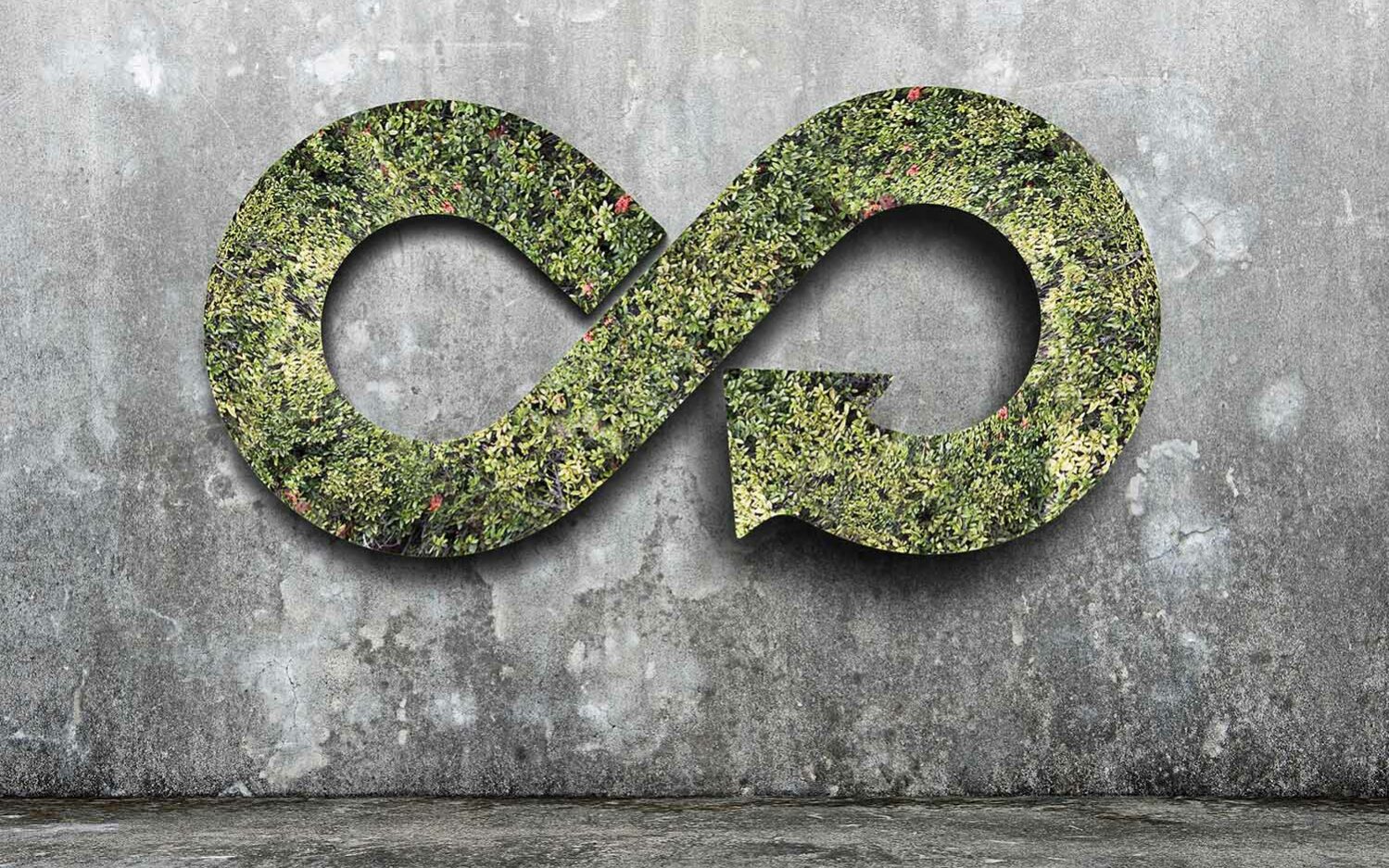 Photo-Credit-Tsung-Lin-Wu-AdobeStock