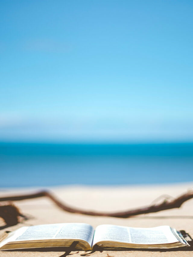 What to read this summer? ESCP professors give you their recommendations