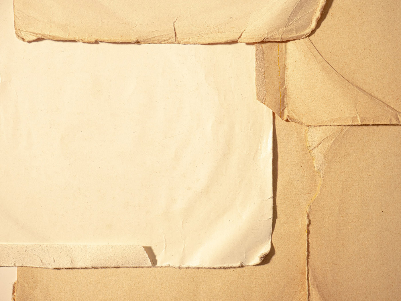 Image of ripped up paper.