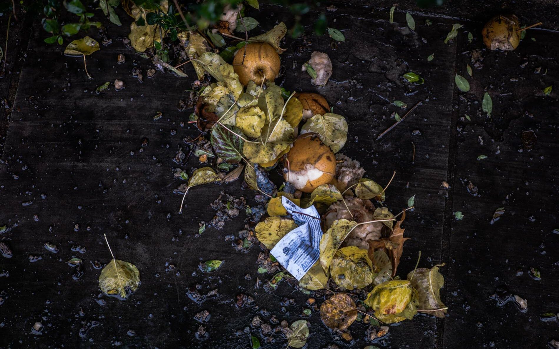 Photo-Credit-Del-Barrett-Unsplash Photo by Del Barrett on Unsplash