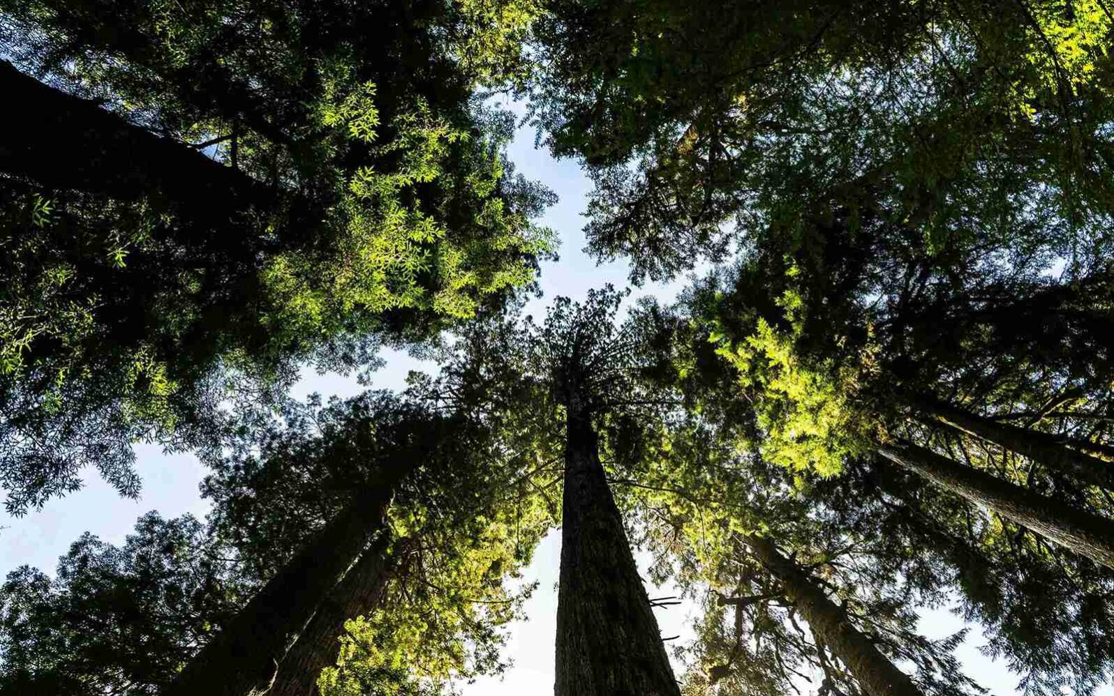 ©Eelco Böhtlingk / Unsplash