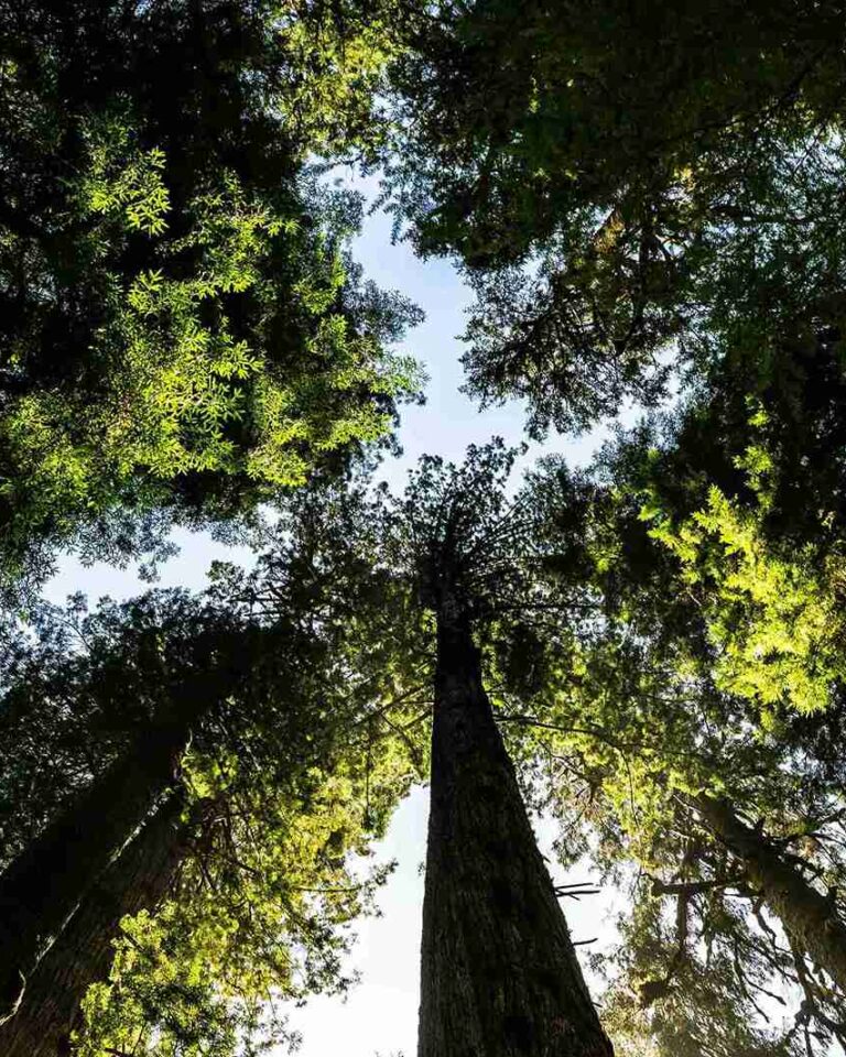 ©Eelco Böhtlingk / Unsplash