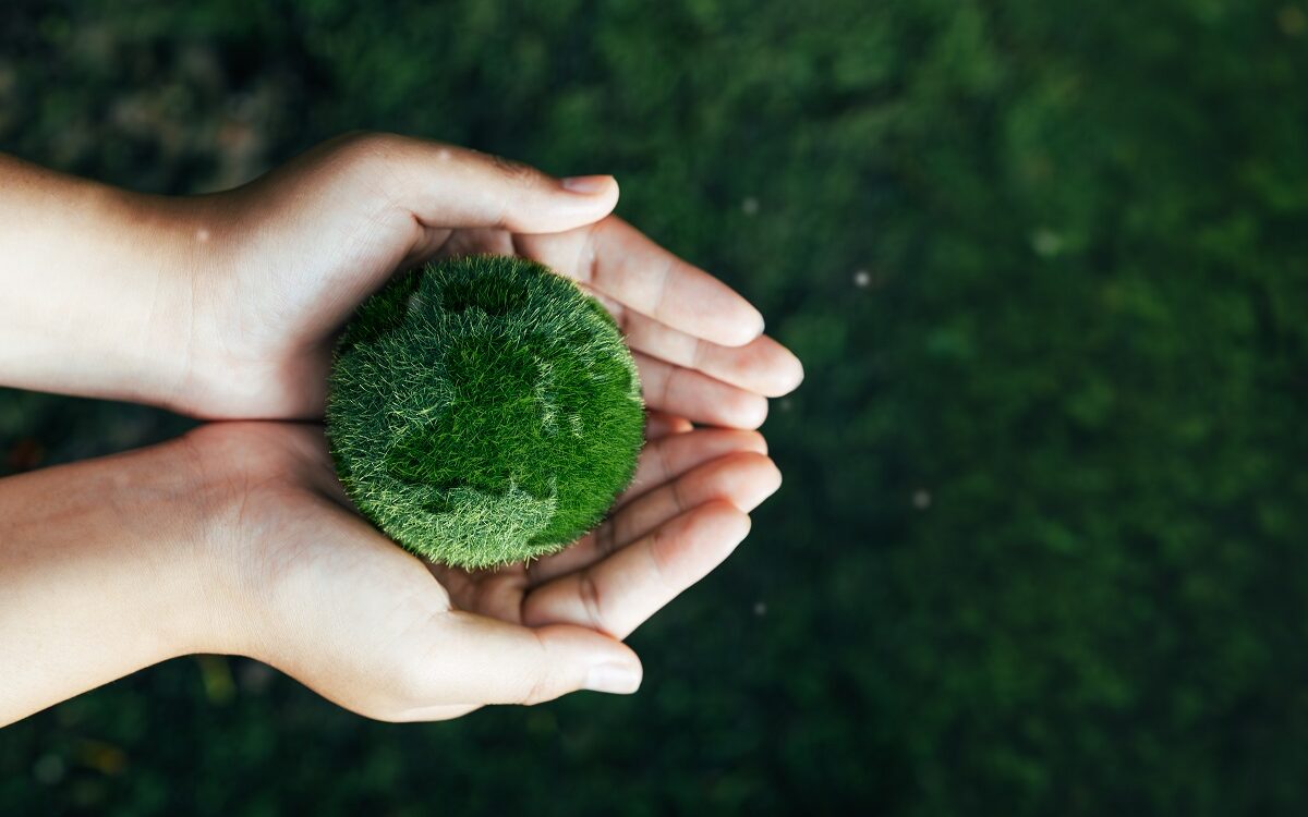 ©dee karen / Shutterstock Two hands hold a ball of moss or grass that vaguely looks like the Earth