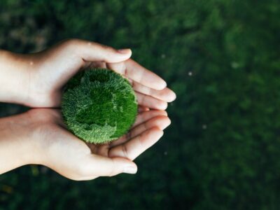 Two hands hold a ball of moss or grass that vaguely looks like the Earth