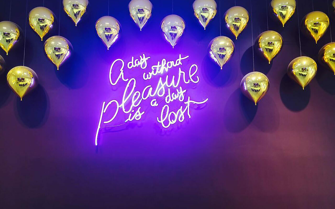finding_meaning_in_work_The_Choice A day without pleasure is a day lost.