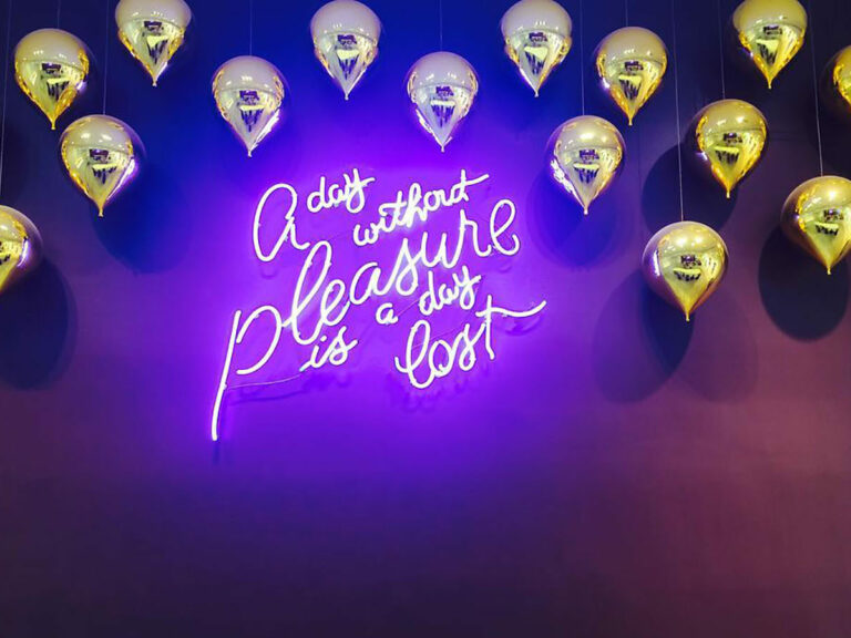 A day without pleasure is a day lost.