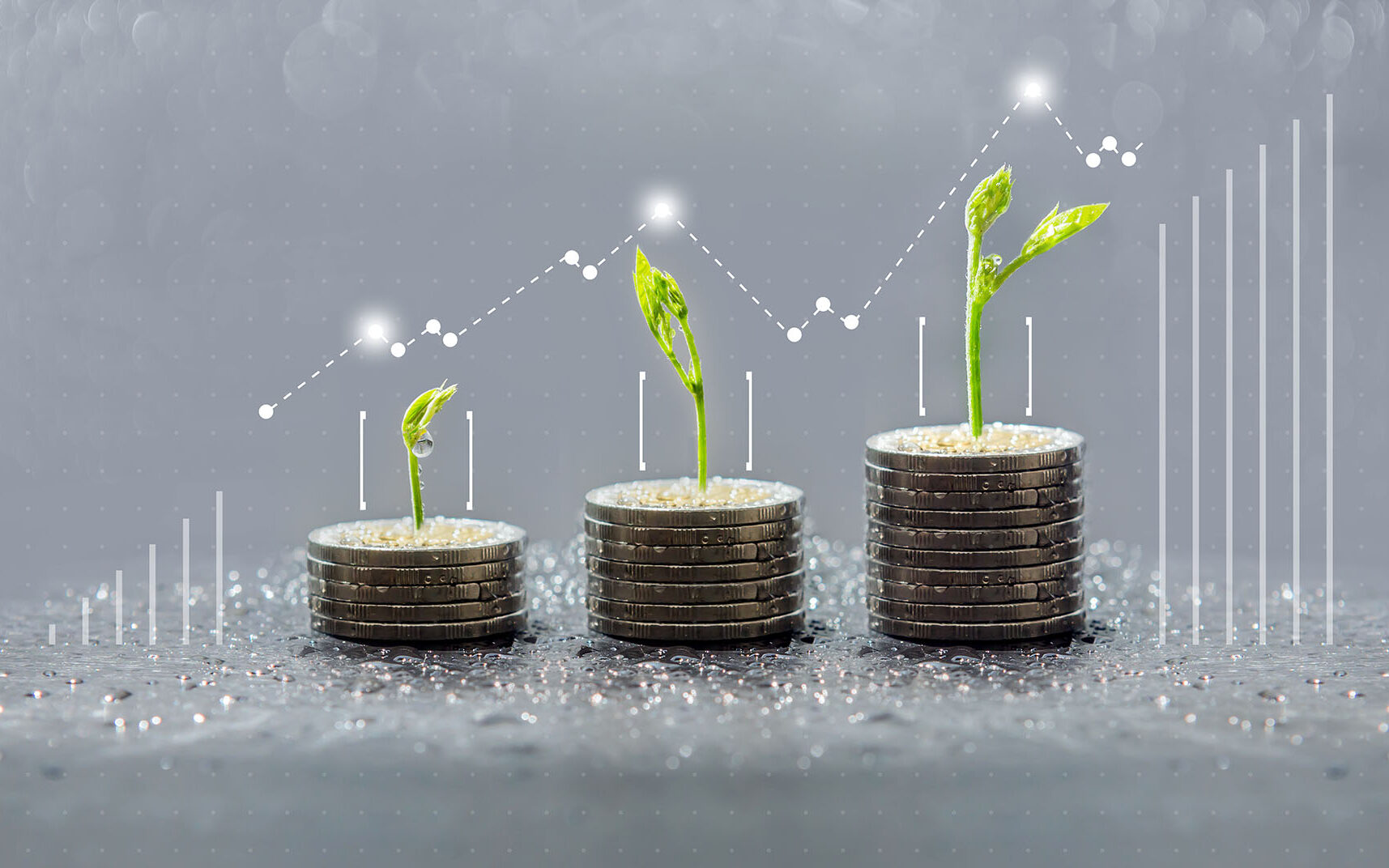 Photo-Credit-Thanit-AdobeStock Trees growing on coins, sustainable finance