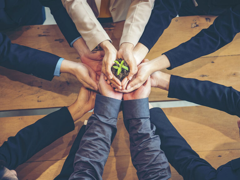 Green Business Meeting. United Partners Team with hands together, ©howtogoto / Adobe Stock