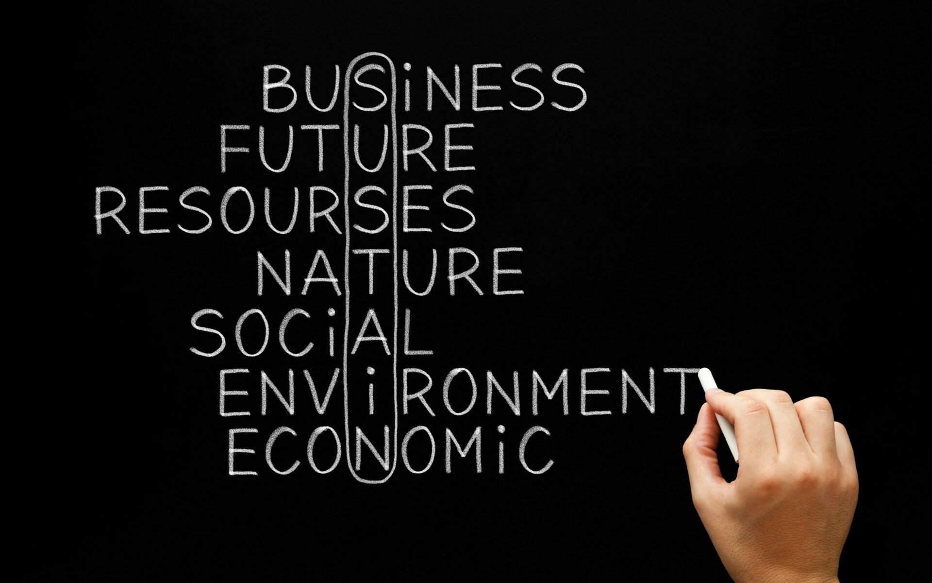 Sustain Crossword Handwritten On Blackboard