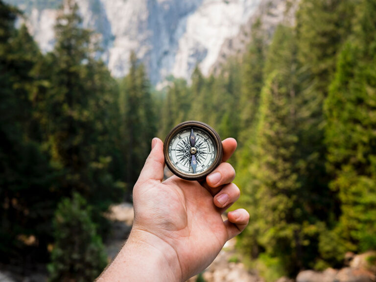 ©Jamie Street / Unsplash Person holding compass facing towards green pine trees, ©Jamie Street / Unsplash