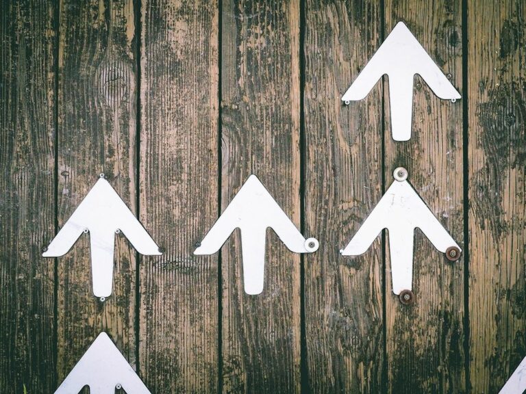 Image of four arrows pinned to a piece of wood.